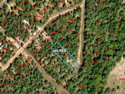 0 Tbd Lot 103 Ripple Brook Drive Bastrop TX 78602