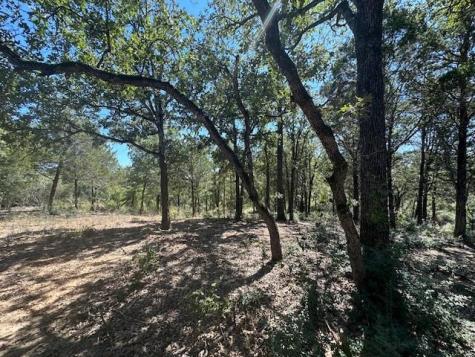 0 Tbd Lot 103 Ripple Brook Drive Bastrop TX 78602