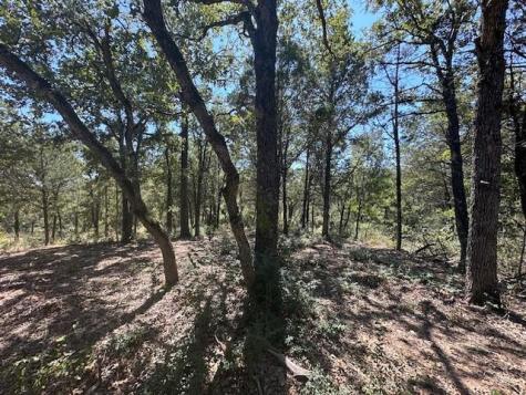 0 Tbd Lot 103 Ripple Brook Drive Bastrop TX 78602