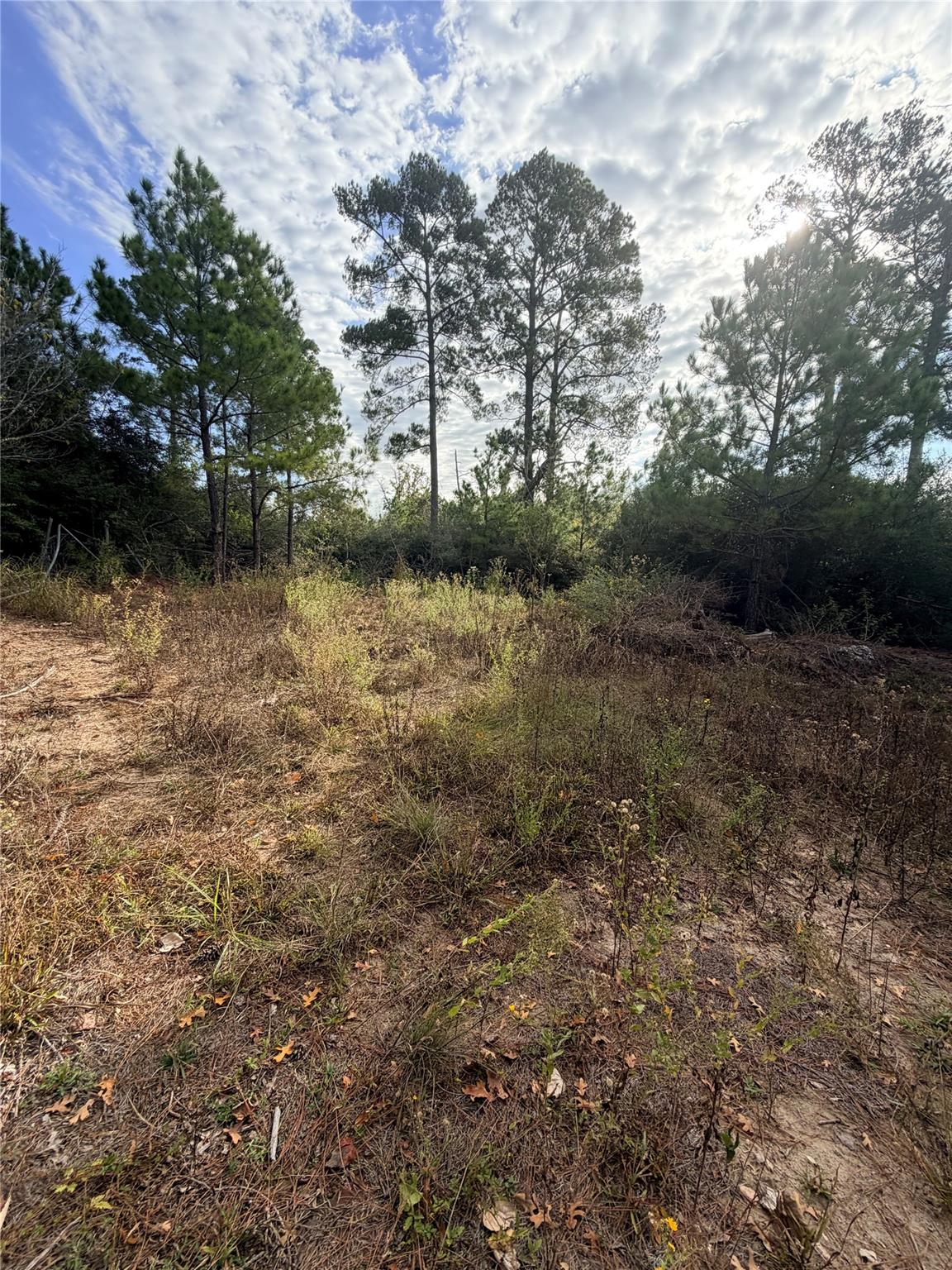 127 Koali Drive Bastrop TX 78602