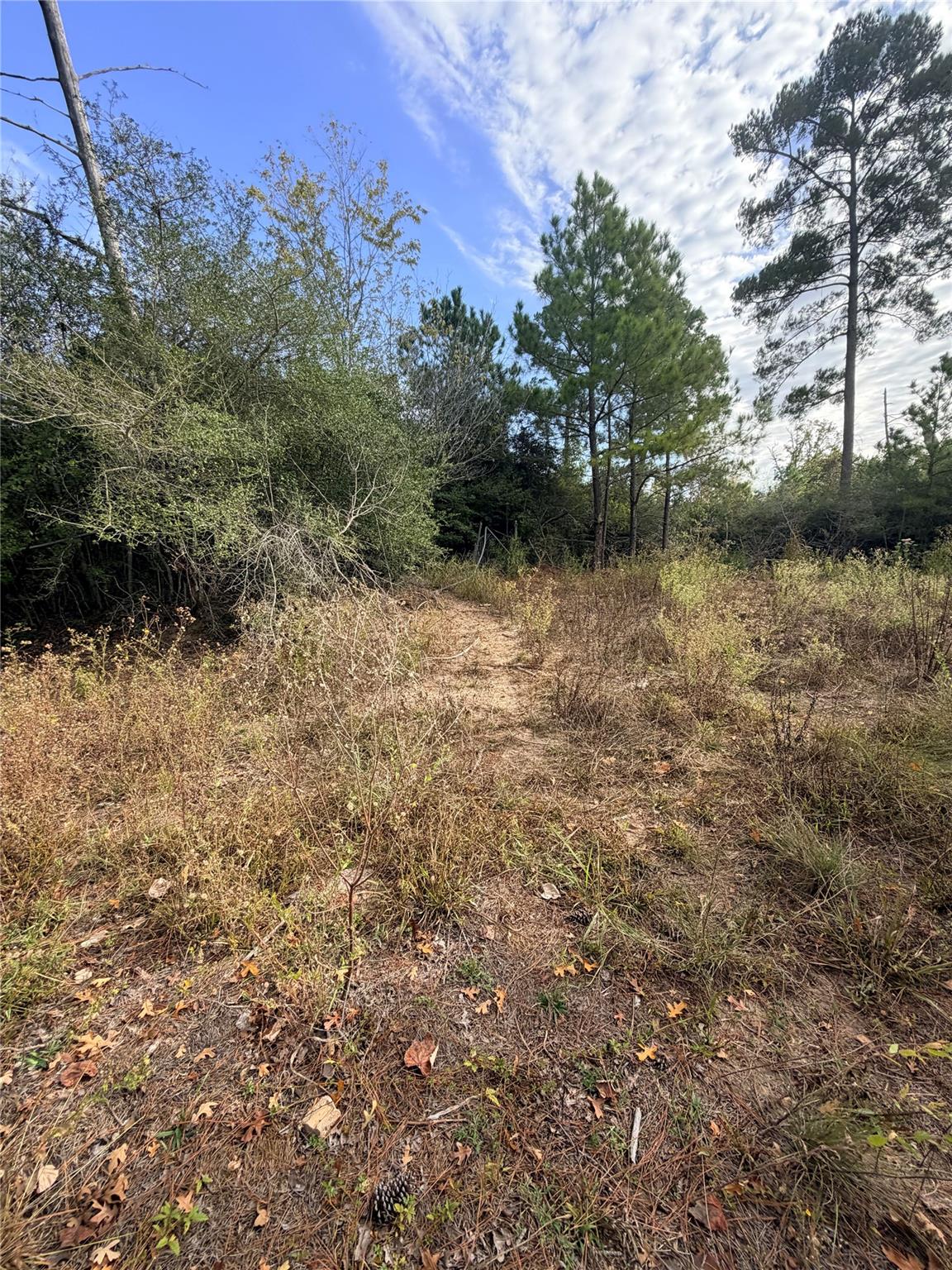 127 Koali Drive Bastrop TX 78602