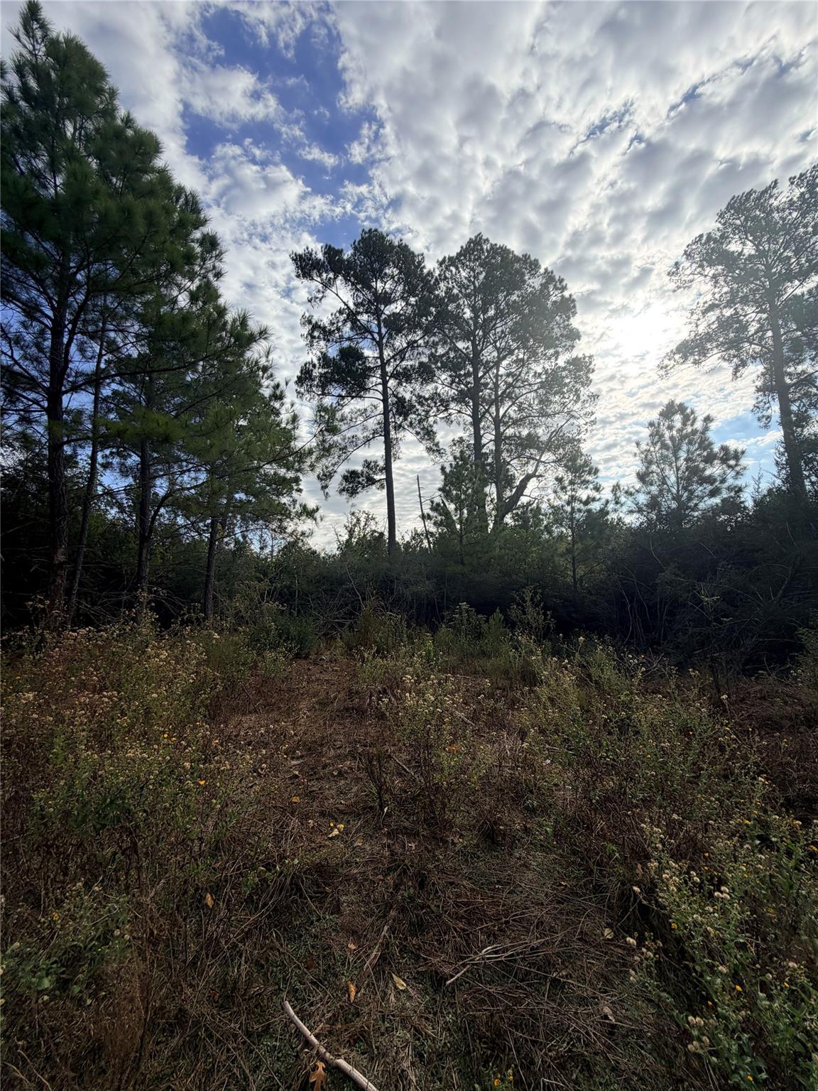 127 Koali Drive Bastrop TX 78602