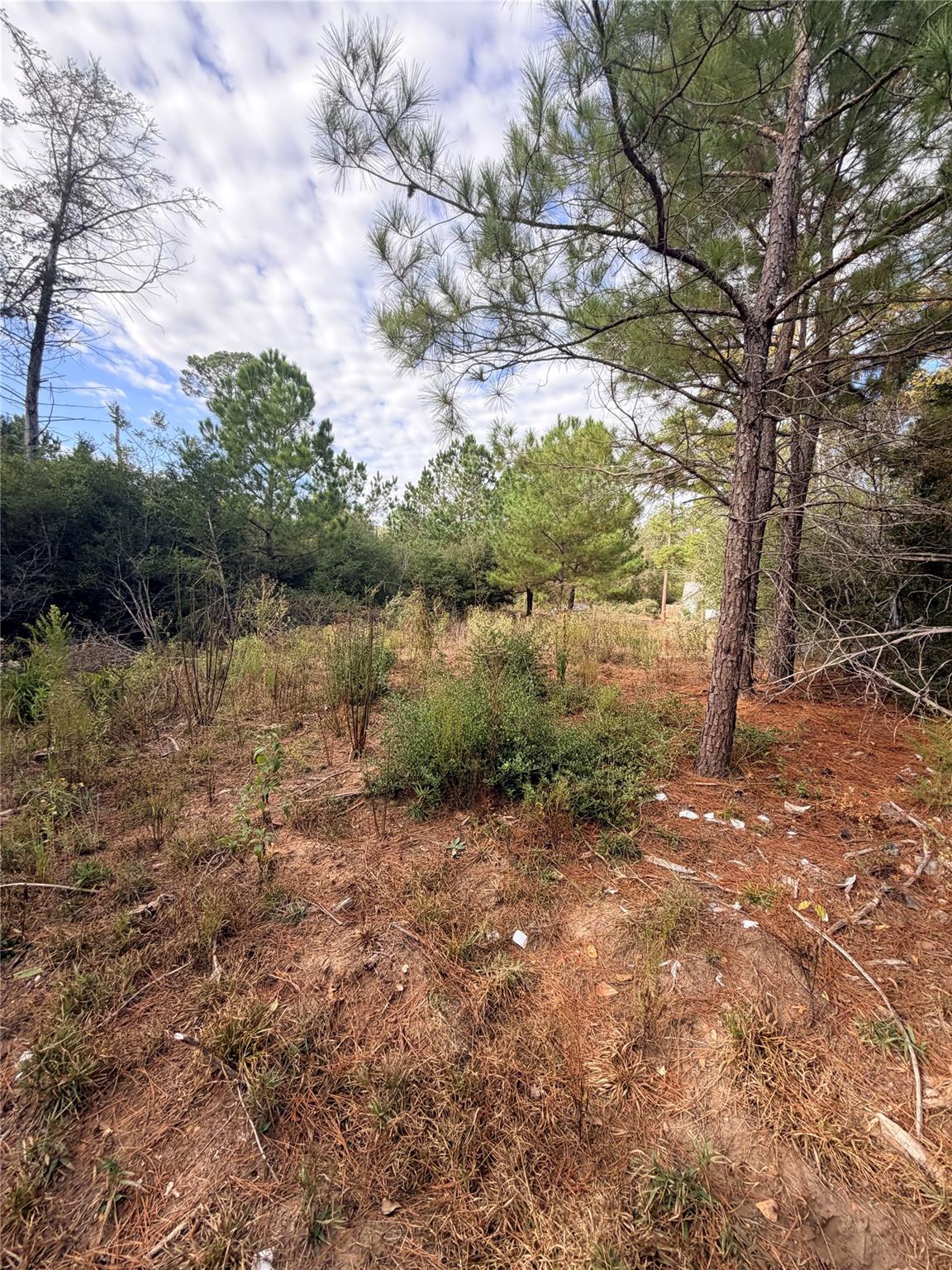 127 Koali Drive Bastrop TX 78602