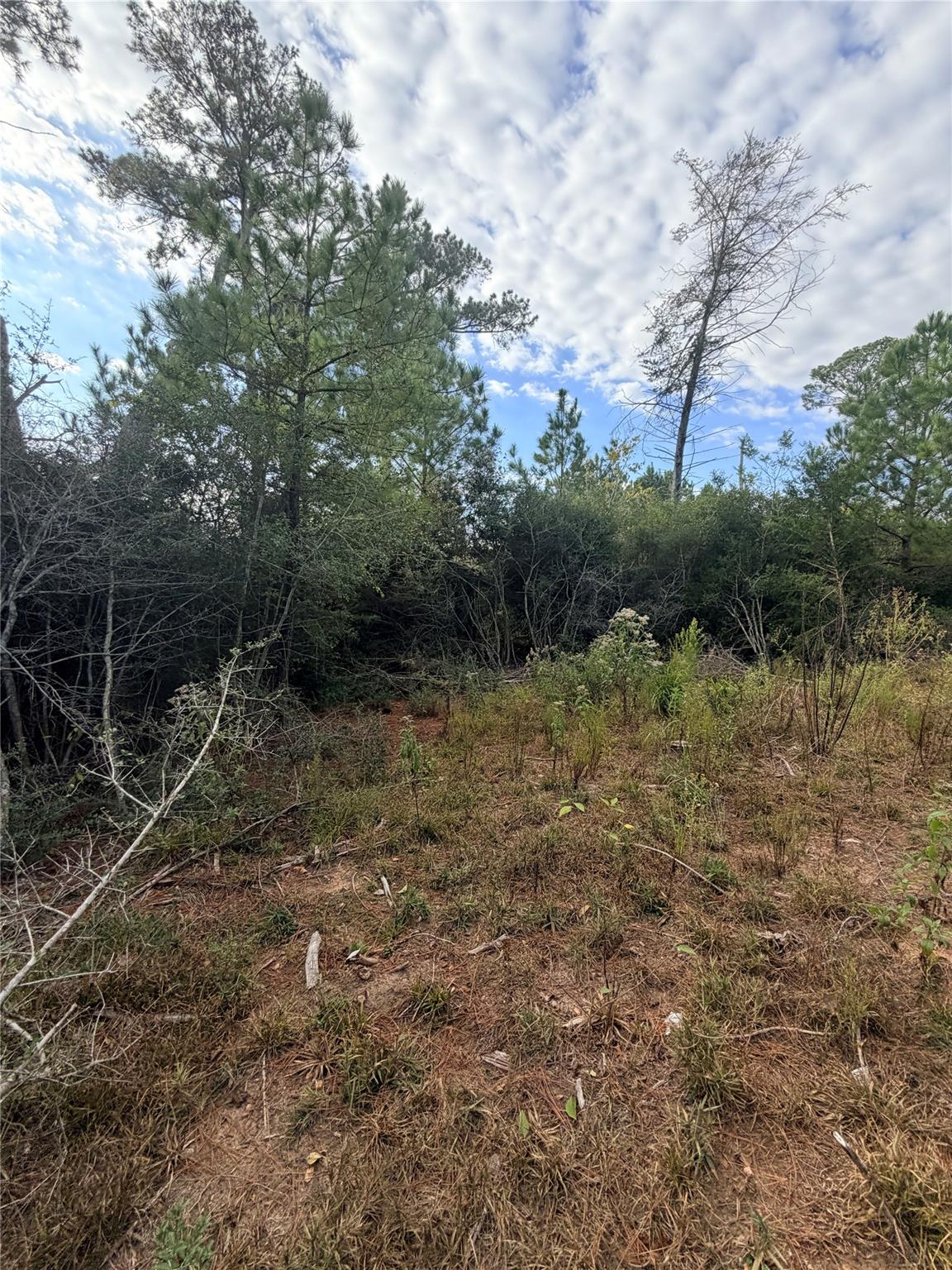 127 Koali Drive Bastrop TX 78602