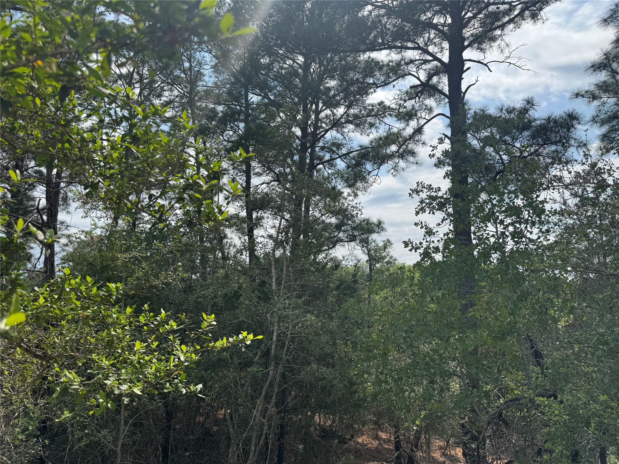 Lots 1263, 1264, 1265 Hanauma Drive Bastrop TX 78602