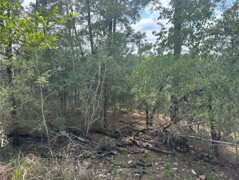 Lots 1263, 1264, 1265 Hanauma Drive Bastrop TX 78602