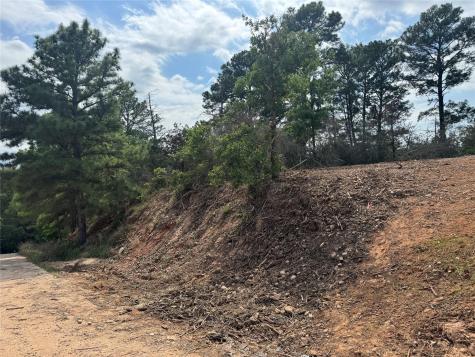 Lots 1263, 1264, 1265 Hanauma Drive Bastrop TX 78602