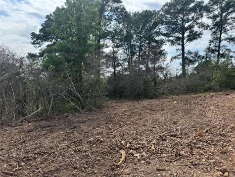 Lots 1263, 1264, 1265 Hanauma Drive Bastrop TX 78602