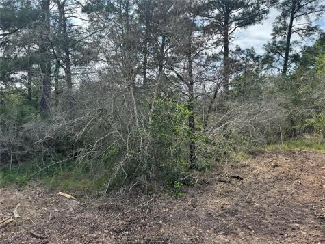 Lots 1263, 1264, 1265 Hanauma Drive Bastrop TX 78602