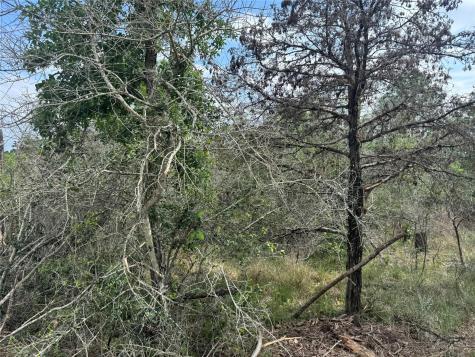Lots 1263, 1264, 1265 Hanauma Drive Bastrop TX 78602