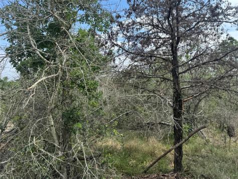 Lots 1263, 1264, 1265 Hanauma Drive Bastrop TX 78602