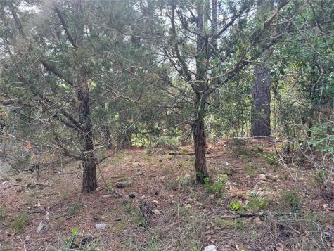 Lots 1263, 1264, 1265 Hanauma Drive Bastrop TX 78602