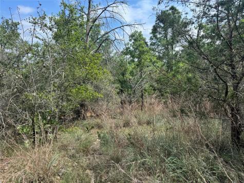 Lots 1263, 1264, 1265 Hanauma Drive Bastrop TX 78602