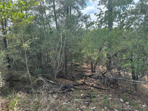 Lots 1263, 1264, 1265 Hanauma Drive Bastrop TX 78602
