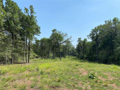 Tbd High Crossing Road - Tract 8 Smithville TX 78957