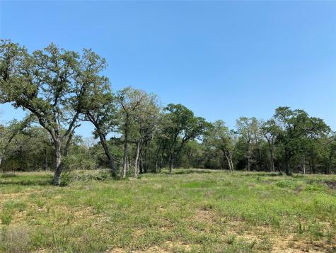 Tbd High Crossing Road - Tract 8 Smithville TX 78957