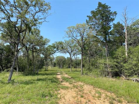 Tbd High Crossing Road - Tract 8 Smithville TX 78957