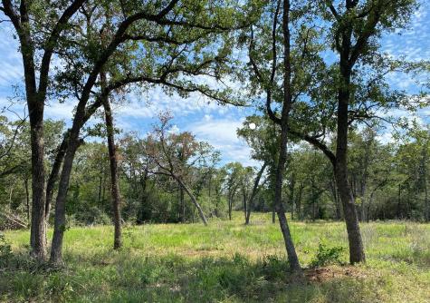 Tbd High Crossing Road - Tract 8 Smithville TX 78957
