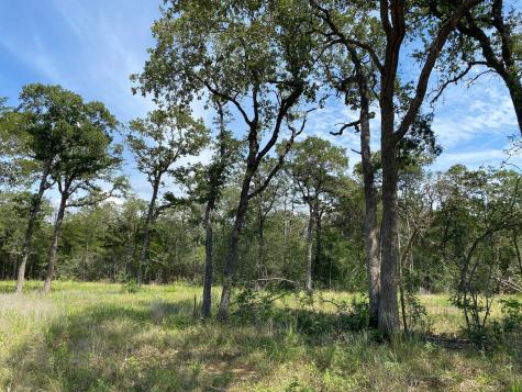Tbd High Crossing Road - Tract 8 Smithville TX 78957