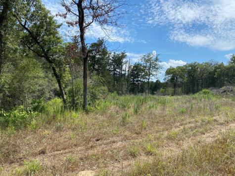 Tbd High Crossing Road - Tract 8 Smithville TX 78957