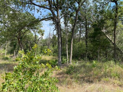 Tbd High Crossing Road - Tract 8 Smithville TX 78957
