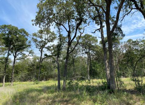 Tbd High Crossing Road - Tract 8 Smithville TX 78957