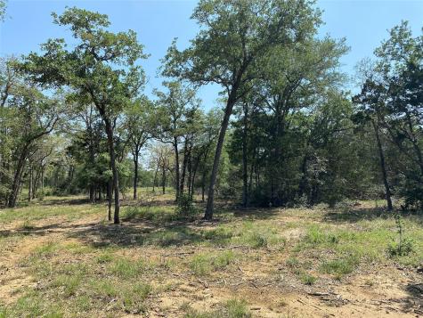 Tbd High Crossing Road - Tract 8 Smithville TX 78957