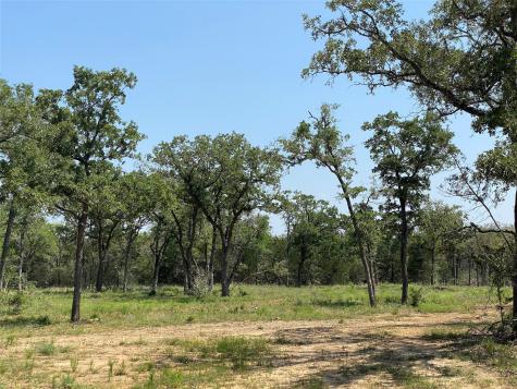 Tbd High Crossing Road - Tract 8 Smithville TX 78957