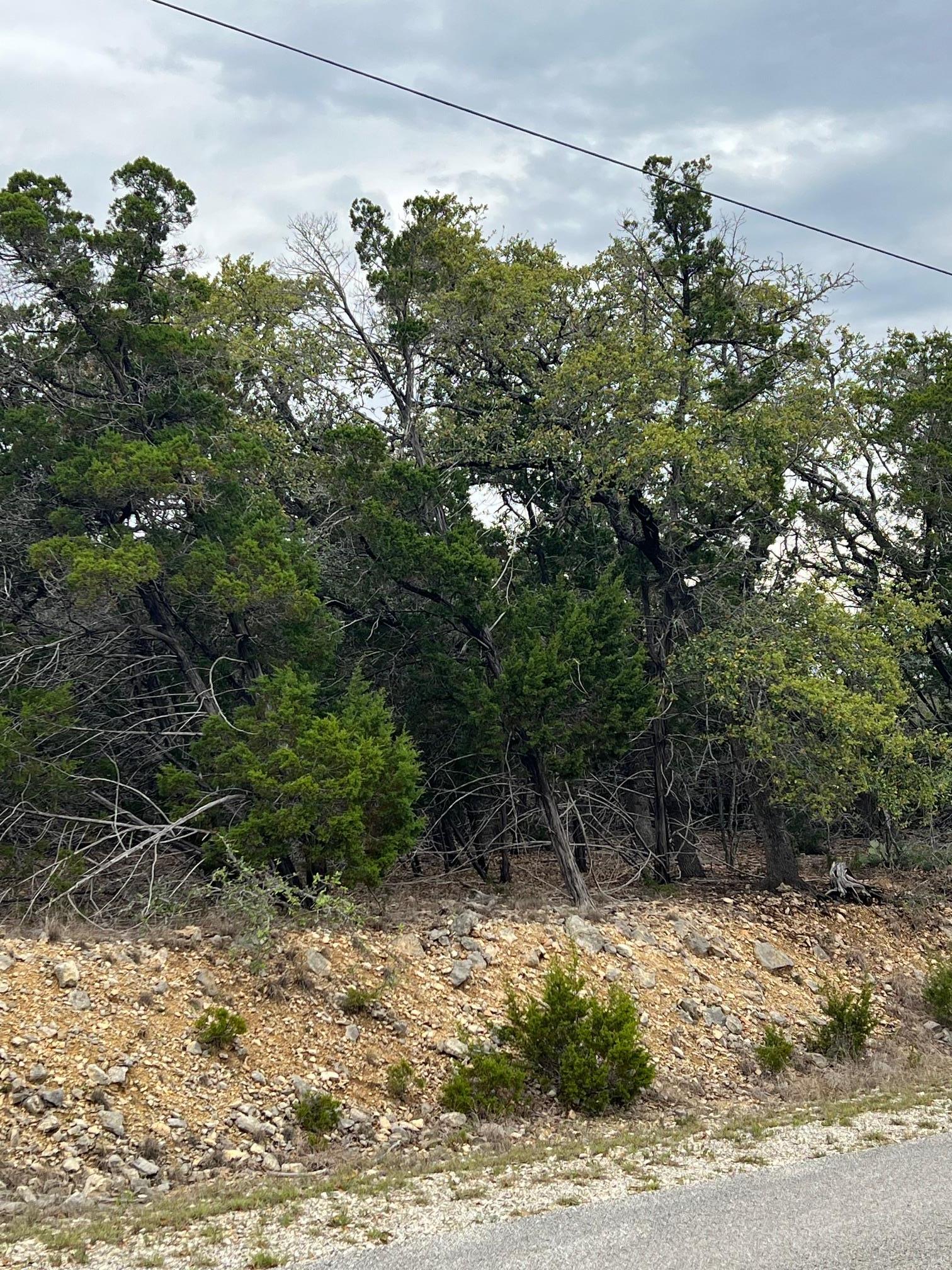 Lot 67 Broken Spoke 5 Acres Canyon Lake TX 78133