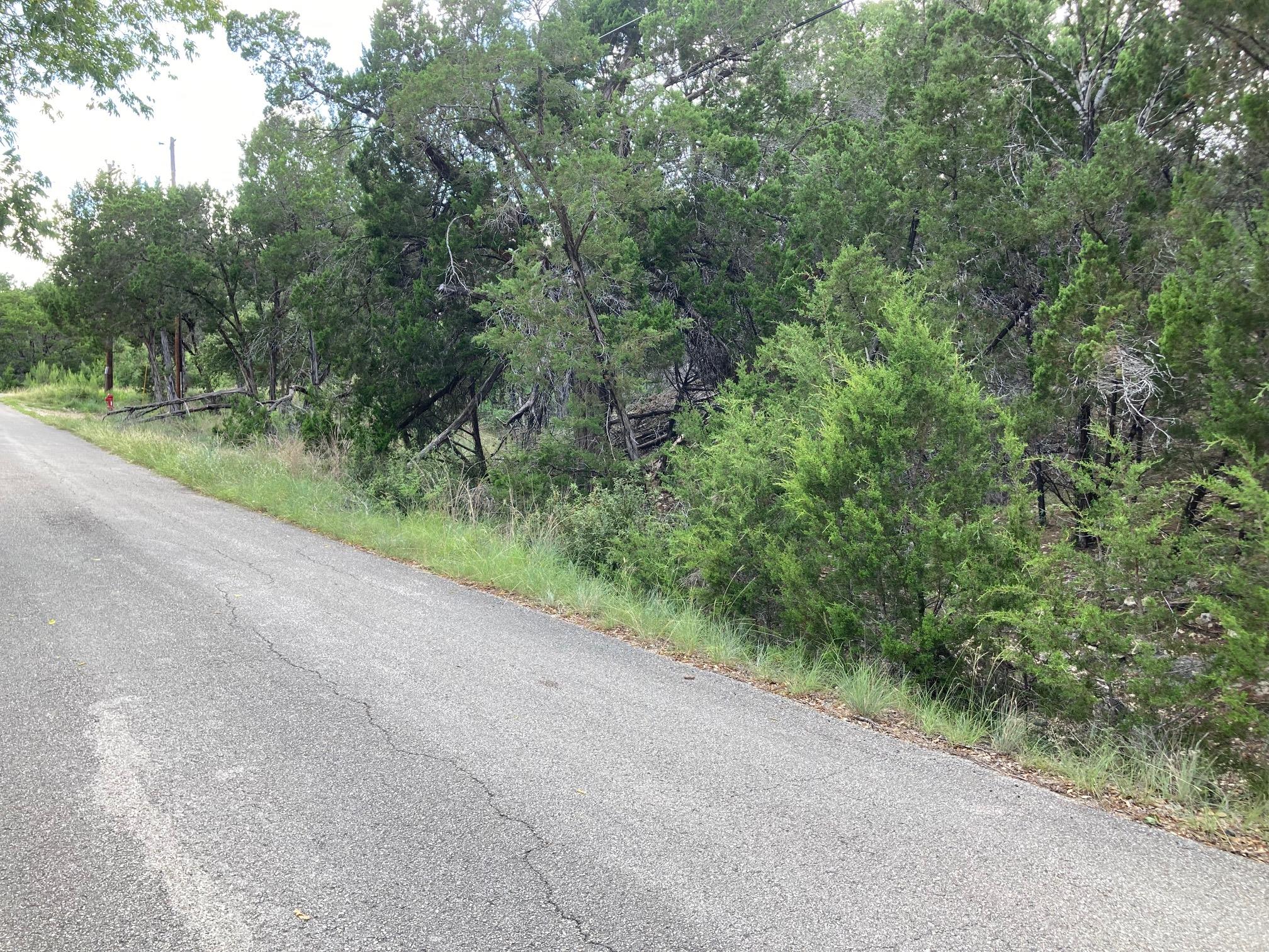 21305 Mount View Drive Lago Vista TX 78645