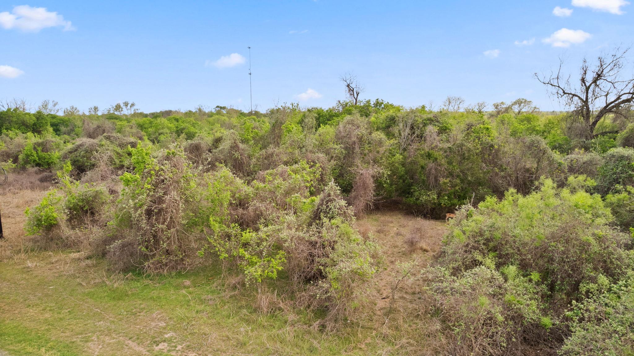 183 Kahana Lane Bastrop TX 78602