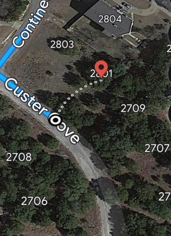 2801 Custer Cove Lago Vista TX 78645