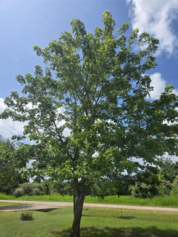 184 Kahana Lane Bastrop TX 78602