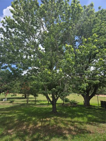 184 Kahana Lane Bastrop TX 78602