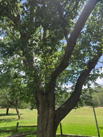 184 Kahana Lane Bastrop TX 78602