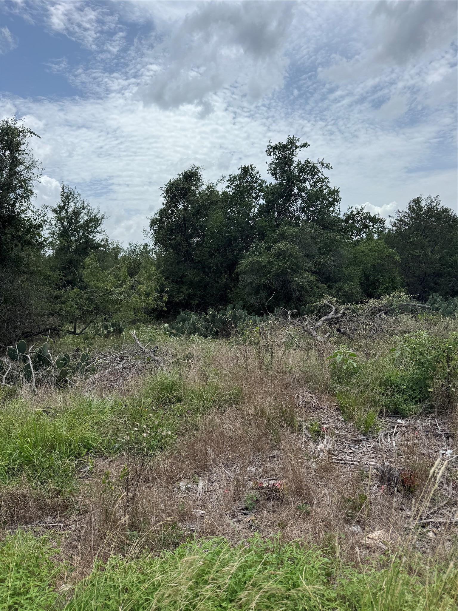 Lot 687 Kawainui Lane Bastrop TX 78602