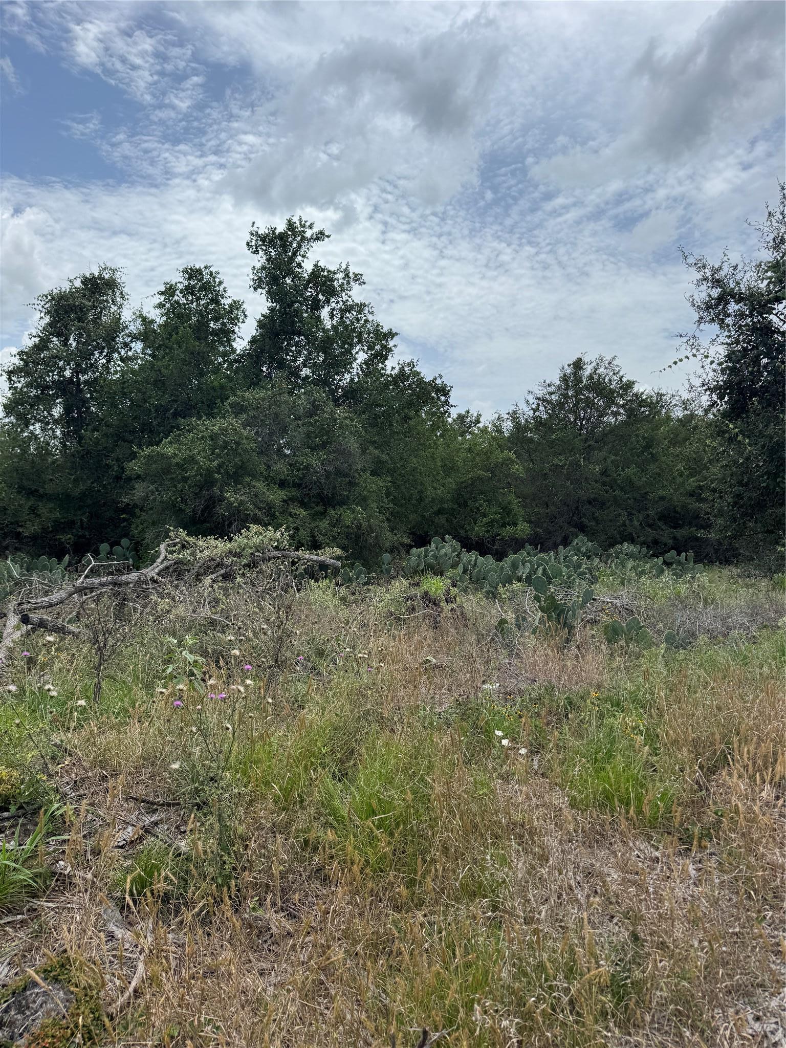 Lot 687 Kawainui Lane Bastrop TX 78602