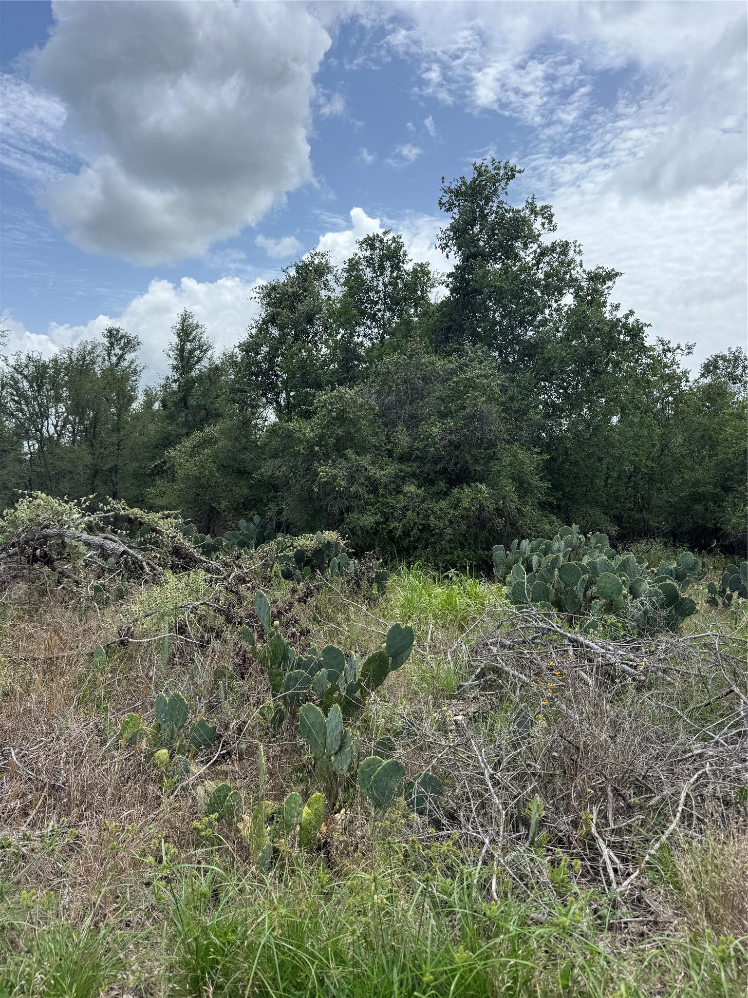 Lot 687 Kawainui Lane Bastrop TX 78602