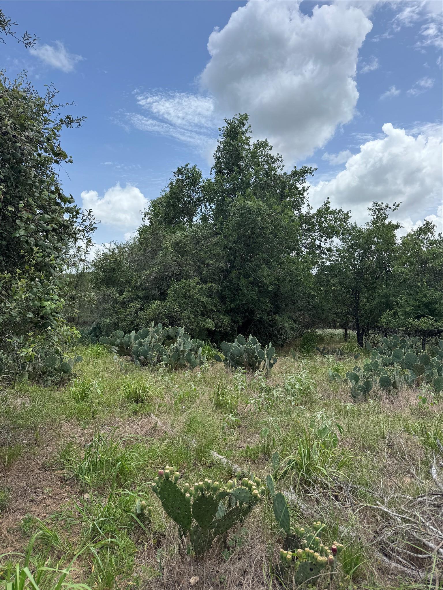Lot 687 Kawainui Lane Bastrop TX 78602