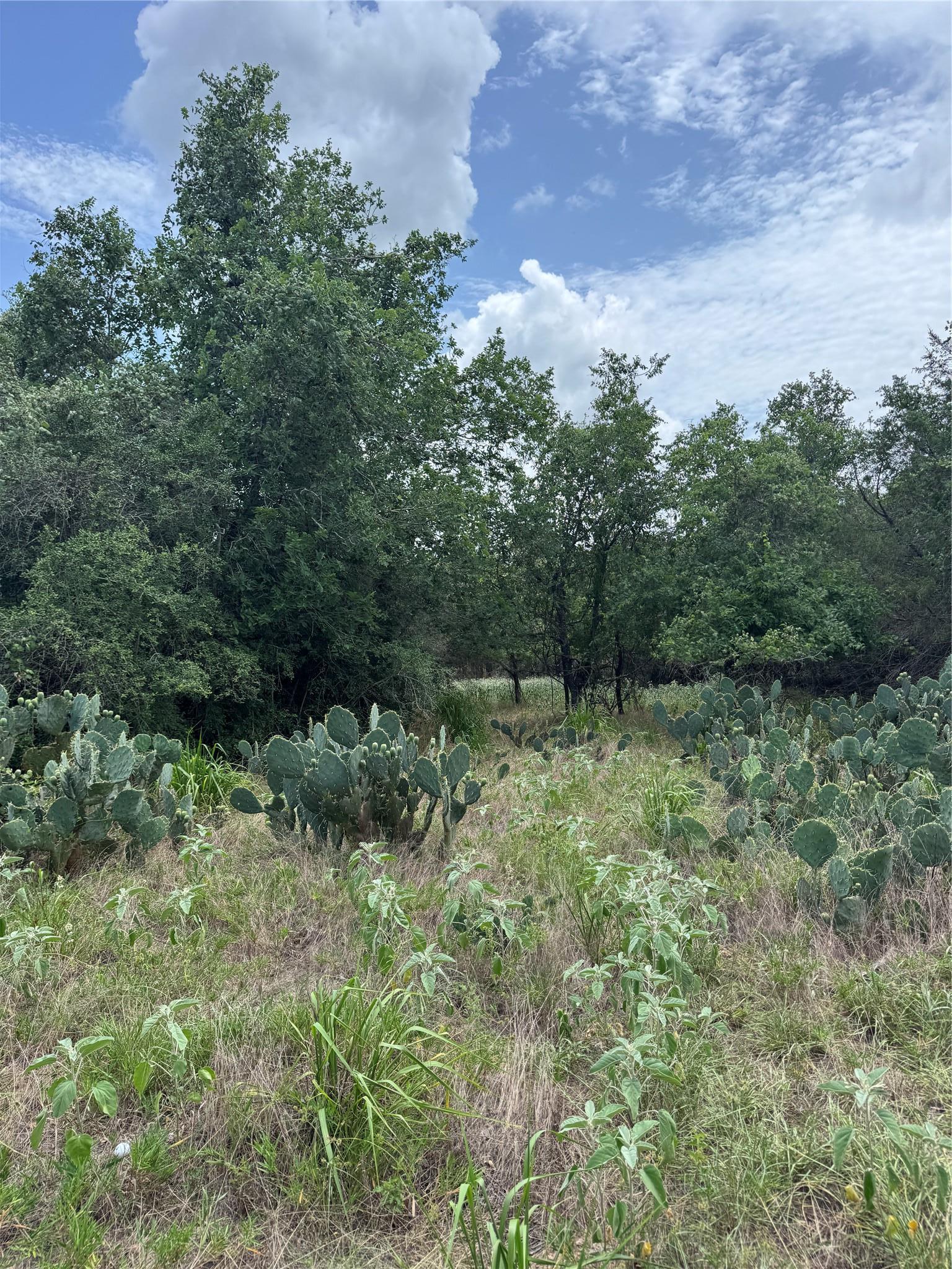 Lot 687 Kawainui Lane Bastrop TX 78602