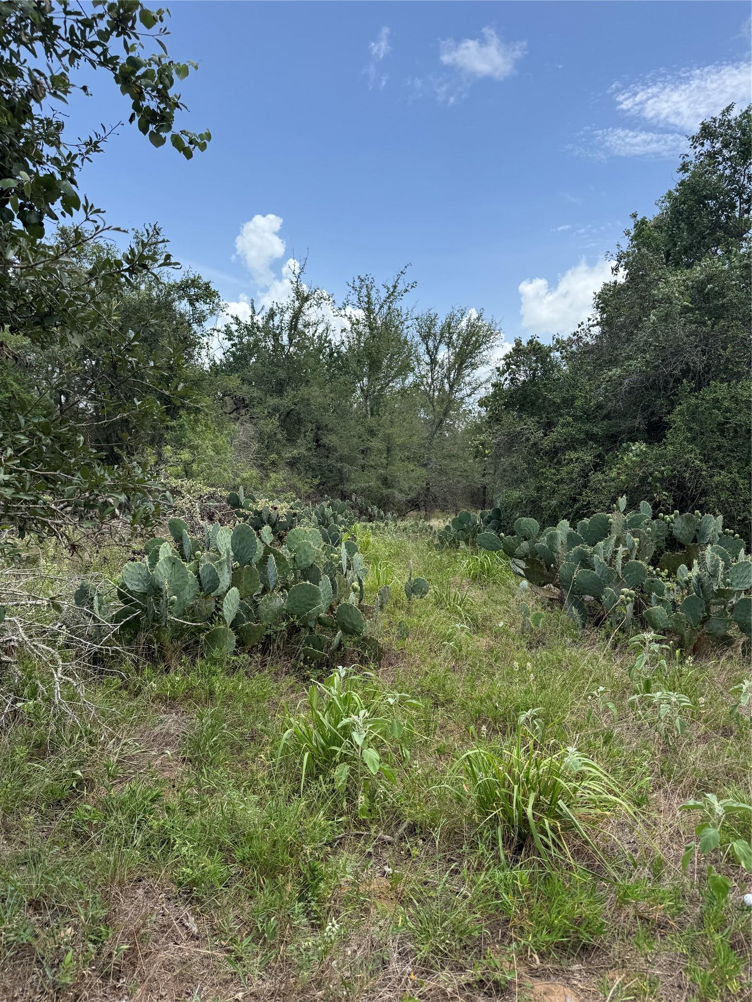 Lot 687 Kawainui Lane Bastrop TX 78602