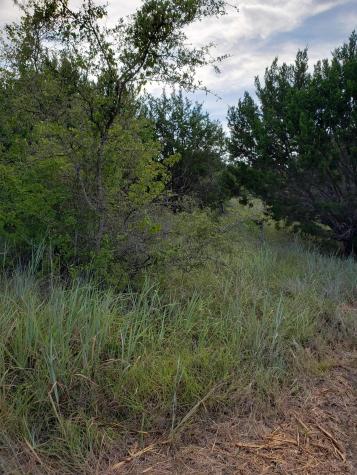 Lot 44 County Road 3640 Lampasas TX 76522
