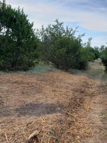 Lot 44 County Road 3640 Lampasas TX 76522