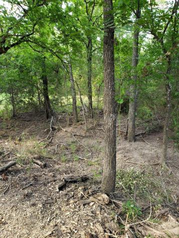 Lot 44 County Road 3640 Lampasas TX 76522