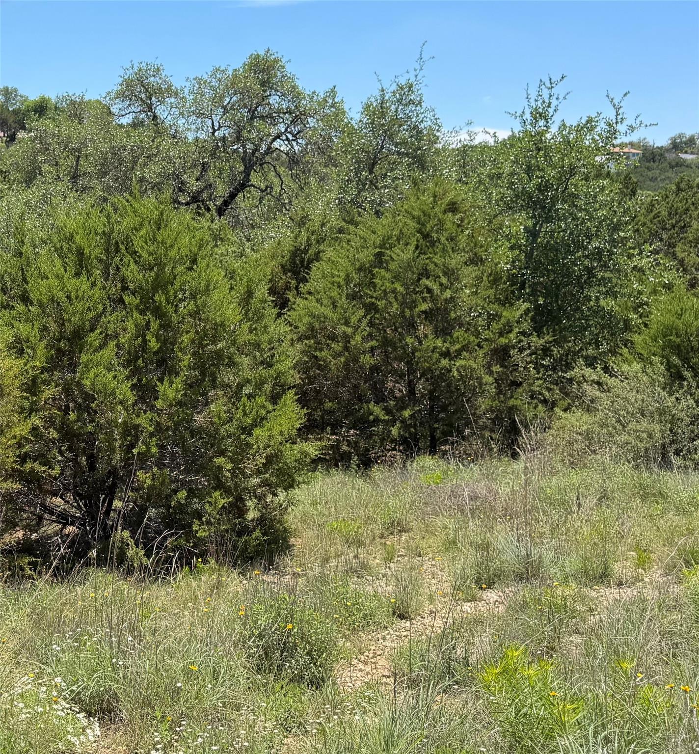 4706 Outpost Trace Lago Vista TX 78645