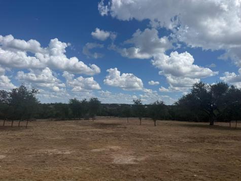 Lot 20 Legacy Hills Drive Johnson City TX 78636