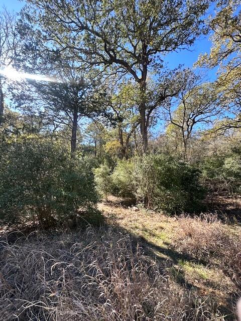 506 Tahitian Drive Bastrop TX 78602