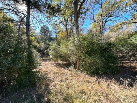 506 Tahitian Drive Bastrop TX 78602