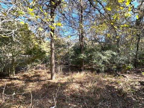 506 Tahitian Drive Bastrop TX 78602