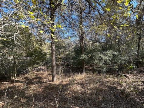 506 Tahitian Drive Bastrop TX 78602